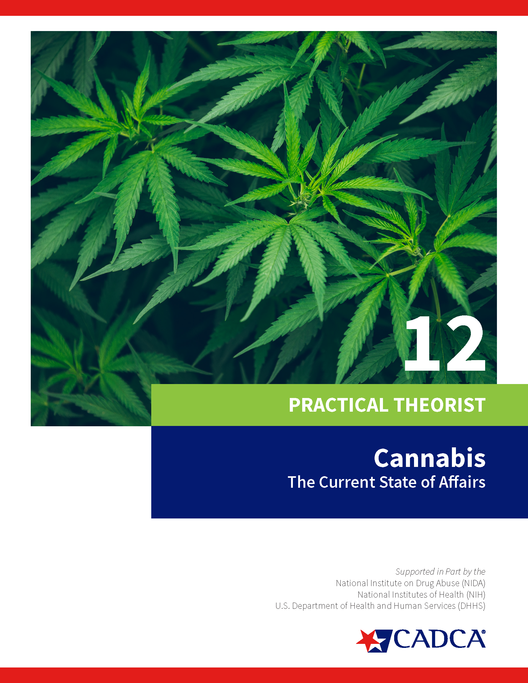 Practical Theorist 12 - Cannabis, The Current State of Affairs - Download