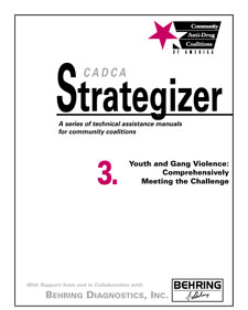 Strategizer 03 -  Youth and Gang Violence: Comprehensively Meeting the Challenge - Download