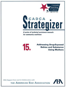 Strategizer 15 - Addressing Drug-Exposed Babies and Substance Using Mothers - Download